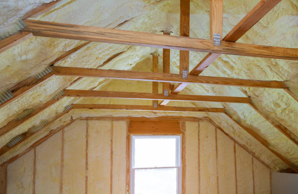 Insulation Repair Services in Miramar Beach, FL